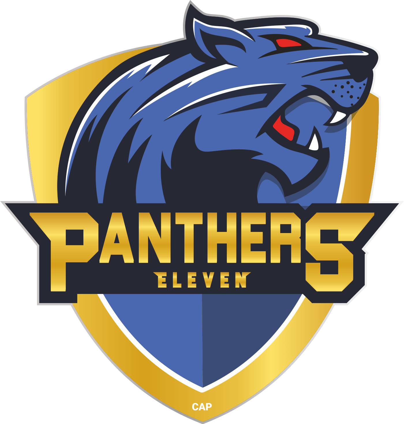 Panthers XI