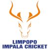 Limpopo Impalas
