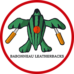 Babonneau Leatherbacks