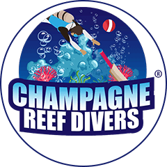 Champagne Reef Divers