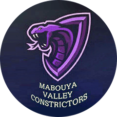 Mabouya Constrictior