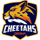 Odisha Cheetahs