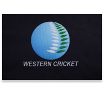 Cricket-series 33