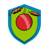 Cricket-series 8